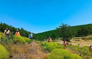 Kütahya’da 34 hükümlü ormanlara katkı sunacak