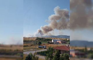 Kütahya’da orman yangını