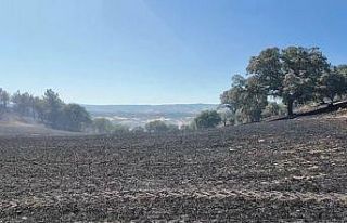 Kütahya’daki orman yangını kontrol altına alındı