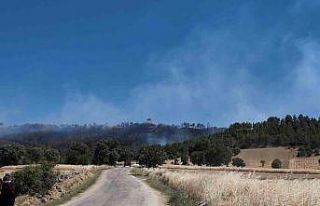 Kütahya’daki orman yangınınnı söndürme çalışmaları...