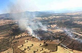 Kütahya’daki yangında 60 hektar ormanlık ve 50...