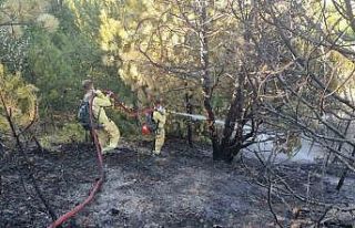 Kütahyalı öğrenciler yangınlarla mücadelede...
