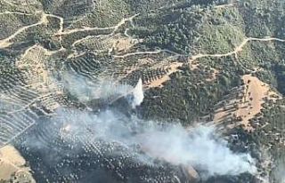 Kuyucak’ta zirai alan ve makilik yangını