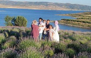 Lavanta bahçeleri fotoğraf platolarına dönüştü