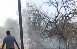 Malatya’da bahçe yangını