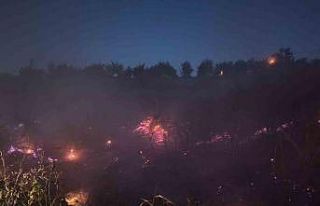 Malatya’da iki ayrı yangın