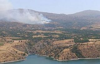 Malatya’da orman yangınına havadan müdahale