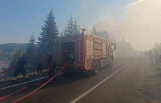 Malatya’daki orman yangınına havadan ve karadan...