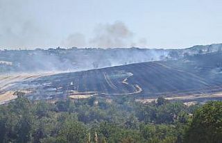 Malkara’da anız yangını 200 dönümlük arazide...