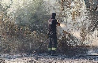 Malkara’da ormana sıçrayan anız yangını kontrol...