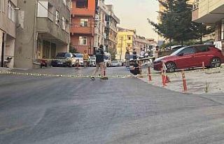 Maltepe’de kamyonetin çarptığı kadın hayatını...