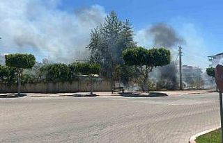 Manavgat’ta çıkan çalılık yangını korkuttu
