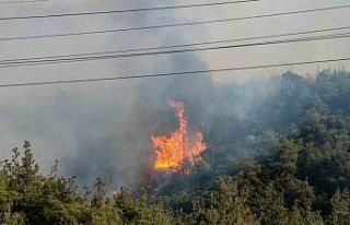 Manisa Valisi Özkan: "Yerleşim birimleri ve...