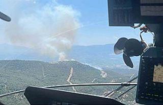 Manisa’da bir orman yangını daha başladı
