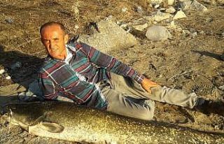 Manisa’da boyu kadar balık yakaladı