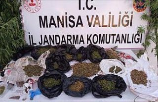 Manisa’da jandarmadan uyuşturucu operasyonu: 2...