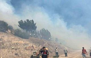 Manisa’daki orman yangını kontrol altına alındı