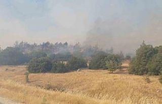 Manisa’daki orman yangınları devam ediyor