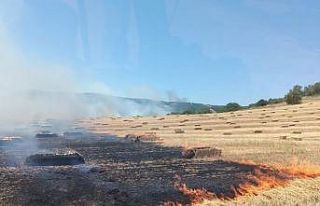 Manyas’ta anız ve makilik alanda çıkan yangın...