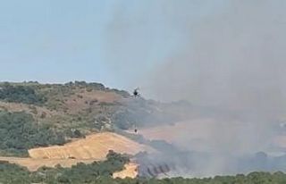Manyas’ta orman yangını: Havadan müdahale sürüyor