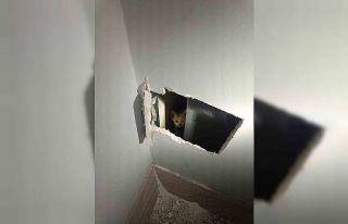 Mardin’de havalandırma boşluğuna düşen yavru...