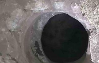 Mardin’de kuyuya düşen keçi kurtarıldı