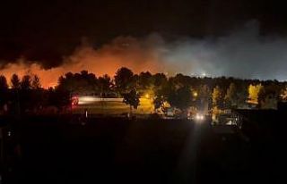 Mardin’de orman yangını