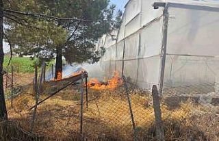 Mardin’de otluk alanda çıkan yangın söndürüldü