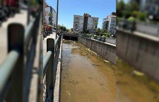 Marmaris’te dere kirliliği tepkisi: "Bu manzara...