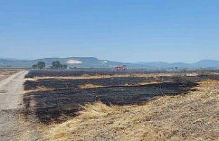 Merada çıkan yangında 200 dekar alan etkilendi