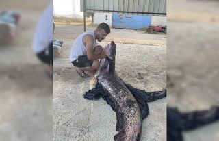 Meriç Nehri’nde 73 kiloluk yayın balığı yakalandı