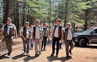 Mersin Orman Bölge Müdürü Gülnar’daki sahalarda...