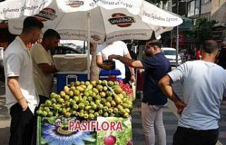 Mersin’de doğada kendiliğinden yetişen dikenli...