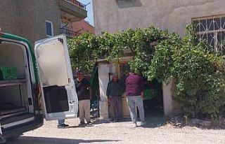 Mersin’de şizofren hastası şahıs, annesini bıçaklayarak...