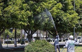 Mersin’de yaz boyunca kesintisiz ilaçlama