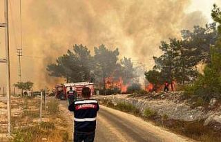 Mersin’deki orman yangınında jandarma ekipleri...