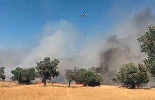 Milas Pınarcık yangınına 5 helikopter 4 uçak...