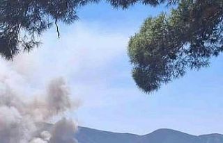 Milas Pınarcık’ta makilik ve zeytinlik alan yangını