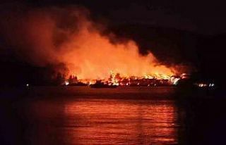 Milas’ta orman yangını