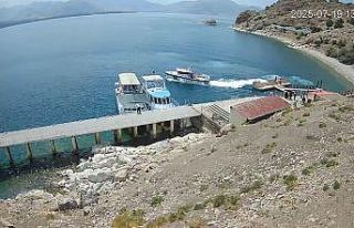 Minik Meva için nefes kesen 4 dakikalık operasyon