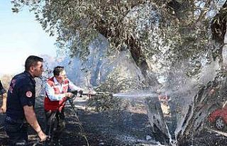 Muğla itfaiyesinden yangın uyarısı