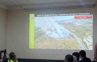 Muğla Orman Bölge Müdürü Ülküdür: "Yangınların...