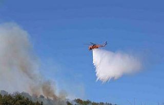 Muğla’daki orman yangını kontrol altına alındı