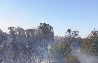 Muratlı’da anız yangını