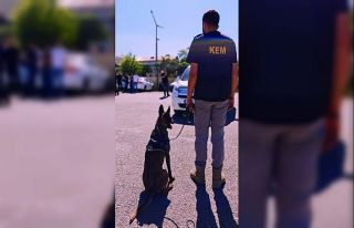 Muş polisi suç ve suçlulara geçit vermiyor