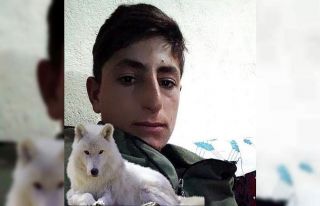 Muş’ta iş kazası: 20 yaşındaki genç hayatını...