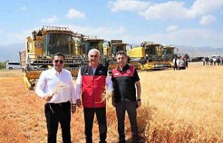 Muş’ta milyarlık hasat başladı