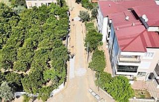 Nazilli Belediyesi bozuk yolları bakıma aldı