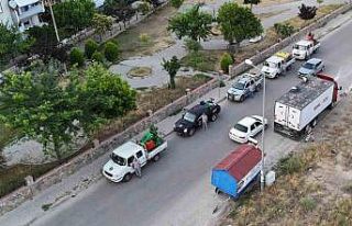 Nazilli Belediyesi’nden haşere ile etkin mücadele