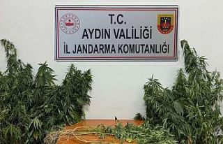 Nazilli’de uyuşturucu operasyonu